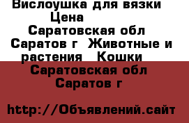 Вислоушка для вязки › Цена ­ 1 300 - Саратовская обл., Саратов г. Животные и растения » Кошки   . Саратовская обл.,Саратов г.